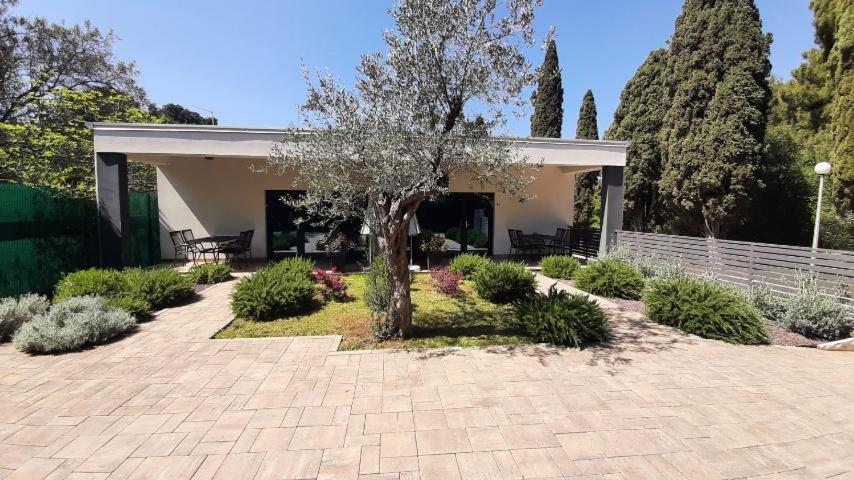 Brajkovic Apartma