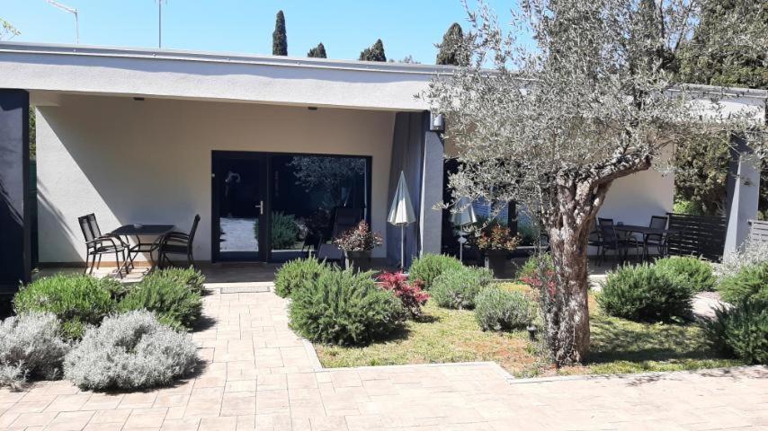 Apartma Brajkovic *
